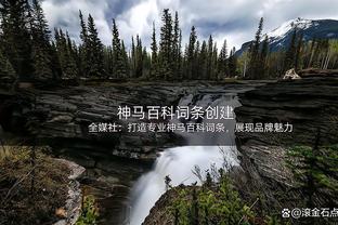 奥纳纳本赛季数据：24场丢39球零封7次，欧冠6场丢15球